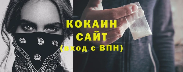 PSILOCYBIN Кулебаки