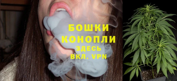 PSILOCYBIN Кулебаки