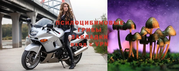 дурь Краснотурьинск